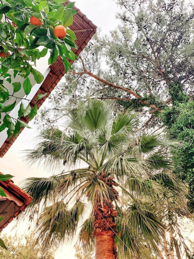 Prínos Hotel Villa Anais (Adults Only) מראה חיצוני תמונה